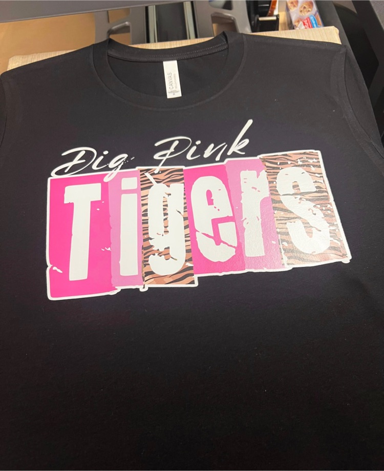 PINK Victoria's Secret, Tops, Pink Tigers Jersey